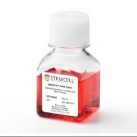 StemCell 04434 MethoCultm H4434 Classic人甲基纤维素培养基