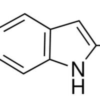 1196-79-8/	 2,5-二甲基吲哚 ,	97%
