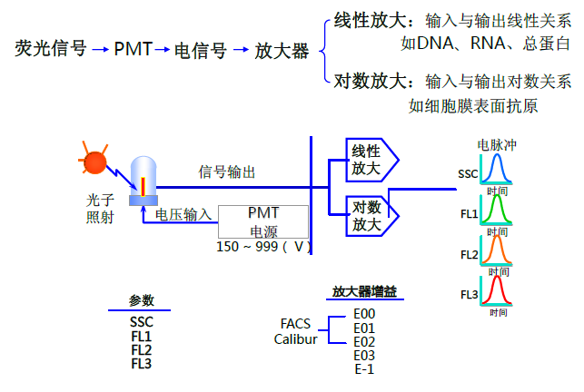 流式细胞术基本原理二