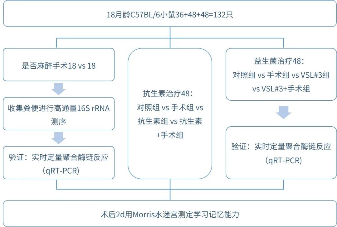 欧易生物,基因芯片,生物芯片,基因测序,高通量测序,二代测序,三代测序,酵母文库,生物信息学,转录组,基因组,蛋白质组,甲基化,代谢组学,蛋白检测单细胞测序,核体系酵母文库构建,基因组de novo测序,蛋白质组定量分析,靶向代谢组学, 2b-RAD简化基因组 ,微生物多样性测序
