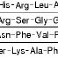 119911-68-1/	 Calcitonin Gene Related Peptide Fragment 8-37 human.≥97% (HPLC)