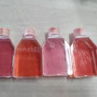 LA795 小鼠肺腺癌细胞/STR鉴定/镜像绮点(Cellverse)