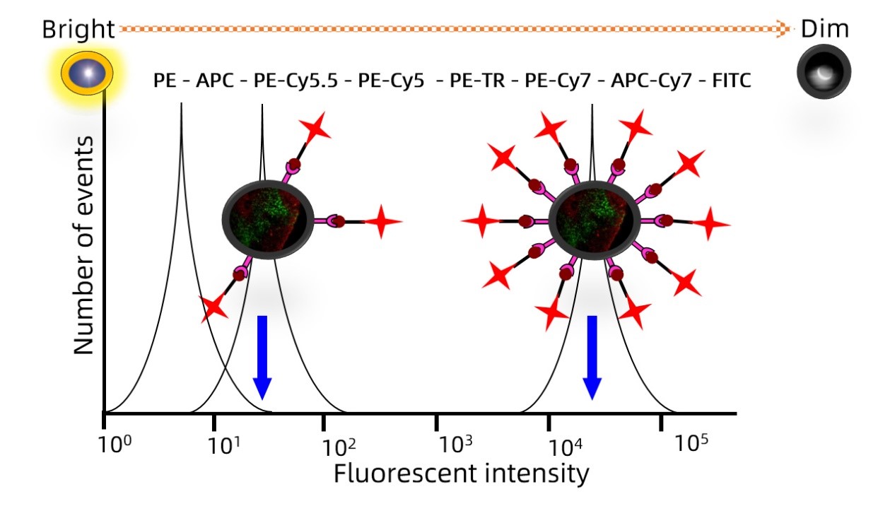 流式细胞术—荧光素的选择