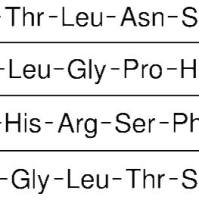 119418-04-1/	 甘丙肽,人.	≥97% (HPLC)