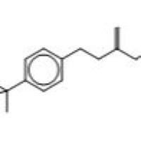 1211-99-0/3-(4-tert-Butylbenzene)propionic Acid, Methyl Ester