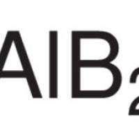 12041-50-8/	 二硼化铝 ,	99%,300目