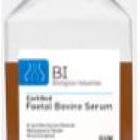 胎牛血清(北美血源)