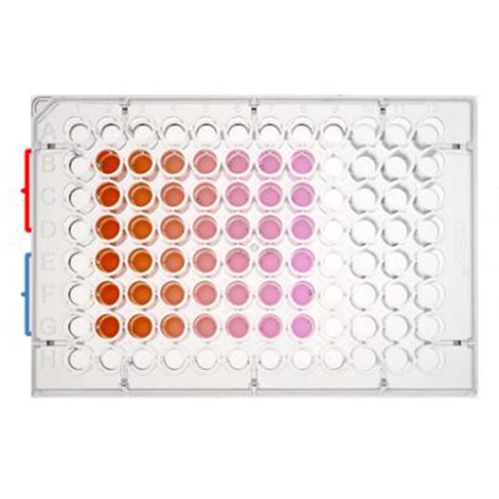 CCK-8檢測細胞增殖(活力)|細胞增殖檢測