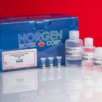 NoV TaqMan RT-PCR Kit Dx