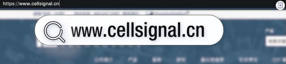 CST网址升级啦！www.cellsignal.cn