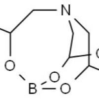 101-00-8/	 三异丙醇环硼酸盐 ,	98.0%(N)