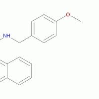 1222781-70-5/(4-甲氧基苄基)(1-萘基甲基)胺盐酸盐 ,	≥98%