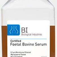 胎牛血清(南美血源)