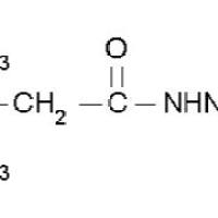 123-46-6/ 吉拉尔特试剂T, 98%