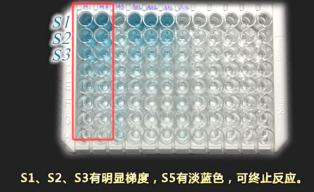 图片14.png