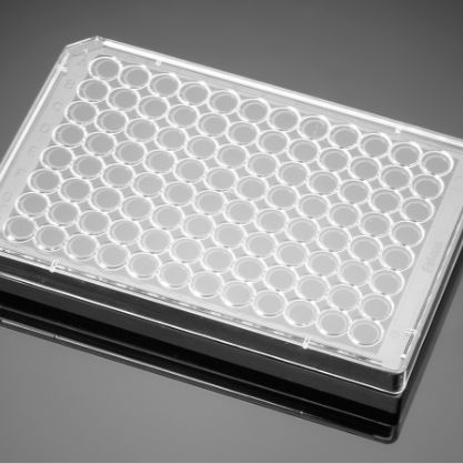 Corning BioCoat Collagen I 96 Well Black/Clear Flat Bottom TC-Treated Microplate, with Lid, 5/Case
