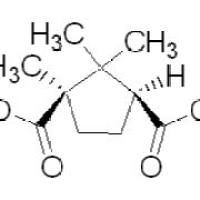 124-83-4/ (+)-樟脑酸 ,99%