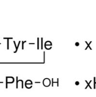 12687-51-3/	 Angiotensin III,human ,	≥98%