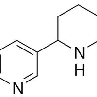 13078-04-1/毒藜碱