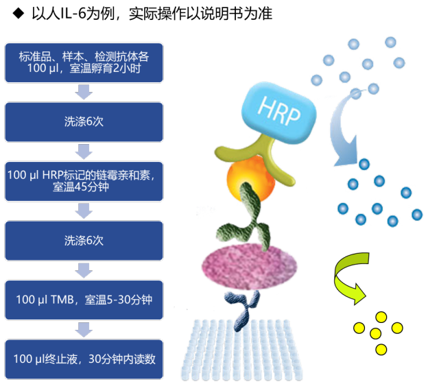 图片12.png
