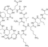PTH-RELATED PROTEIN (1-16) (HUMAN, RAT)