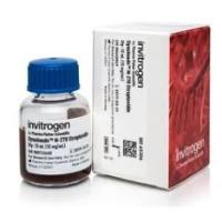 Dynabeads™ M-270 Streptavidin  65306