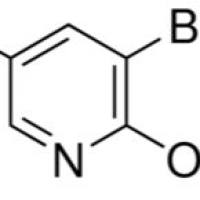 13472-60-1/ 2-甲氧基-3,5-二溴吡, 97%