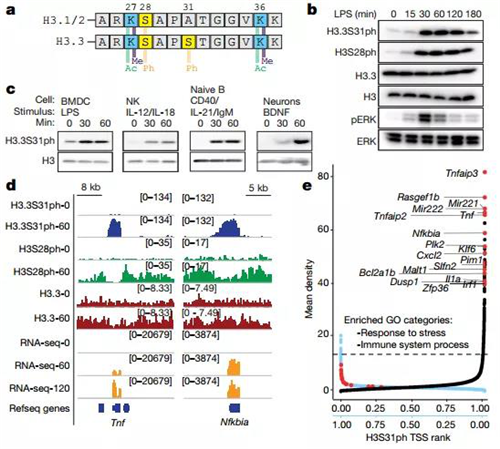 威斯腾生物联合中国抗癌协会肿瘤代谢专委会网络学术沙龙系列讲座第十一讲