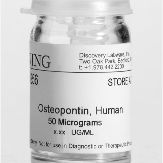 Corning® Osteopontin, Human, 50µg