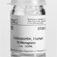 Corning® Osteopontin, Human, 50µg