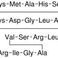 133448-20-1/	 Brain Natriuretic Peptide-32 rat ,	≥97% (HPLC)