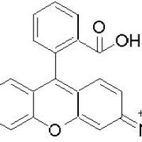 13558-31-1/	 氯化罗丹明110,	激光级,98%