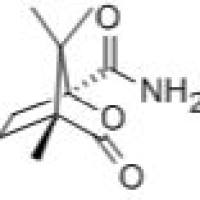 54200-37-2/(1S)-(-)-樟脑烷酸酰胺