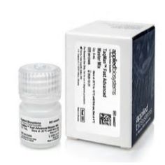 TaqMan™ Fast Advanced Master Mix 4444557