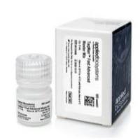 TaqMan™ Fast Advanced Master Mix 4444557