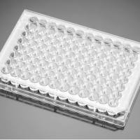 Corning BioCoat Poly-D-Lysine 96 Well White/Clear Flat Bottom Microplate, 20/Pack, 80/Case