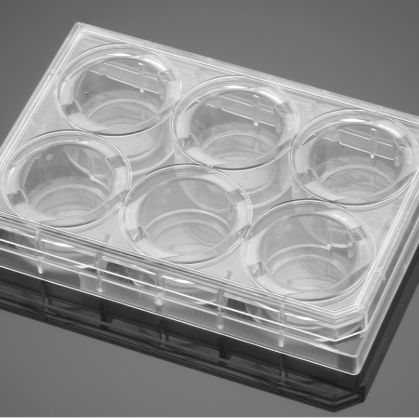 Corning BioCoat Control Inserts with 3.0µm Pore Polyester (PET) Membrane in four 6 Well Plates, 6/Pack, 24/Case