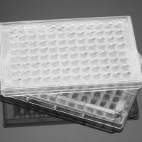 Corning BioCoat Matrigel Tumor Invasion System, 96 Multiwell Insert System with 8.0μm Pore FluoroBlok Membrane, 1/Pack, 5/Case
