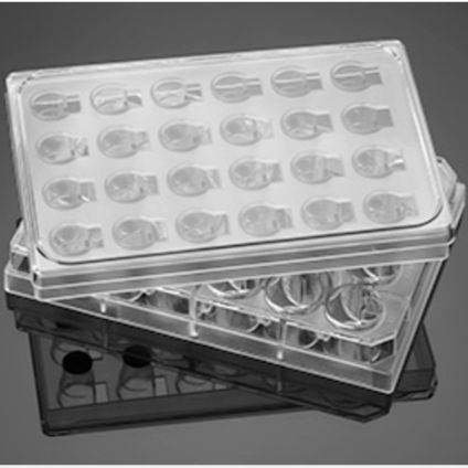 Falcon 24 Well Insert System with 3.0μm Pore Polyester (PET) Membrane, with 24 Well Plate and Lid, Sterile, 5/Pack, 5/Case