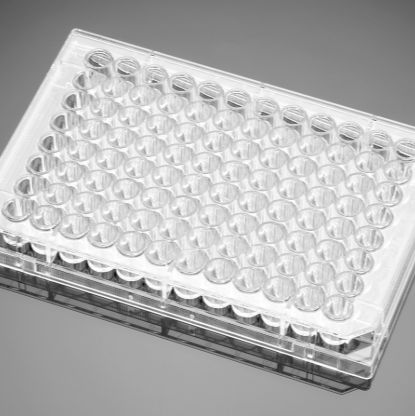 Corning BioCoat Gelatin 96 Well Clear Flat Bottom Assay Plate, with Lid, 5/Pack, 50/Case