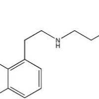 1623104-92-6/	 阿戈美拉汀杂质 二胺 ,	分析标准品,HPLC≥98%