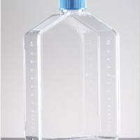 Corning® PureCoat™ Collagen  Peptide 175cm² Rectangular Canted Neck Cell Culture Flask with Vented  Cap