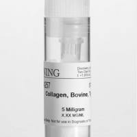 Corning® Collagen II, Bovine, 5mg