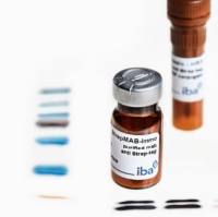 Strep-tag ®高亲和力抗体StrepMAB-Immo Antibody