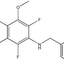 651734-52-0/4-(苄基氨基)-3,5-二氟-2,6-二甲氧基甲酸 ,95%