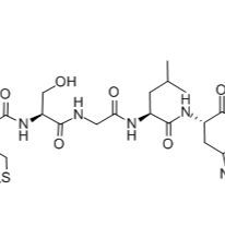 125911-68-4/	 SAMS PEPTIDE ,	98%