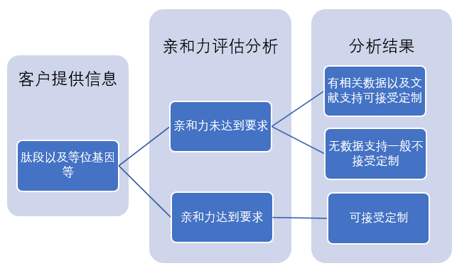 MHC 四聚体（MHC Tetramer）