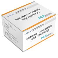 乙型肝炎病毒（HBV）核酸测定试剂盒（荧光PCR法）