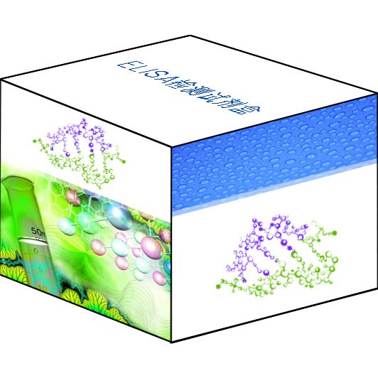 猪白介素1β(IL-1β)ELISA试剂盒          Porcine Interleukin 1β,IL-1β ELISA Kit