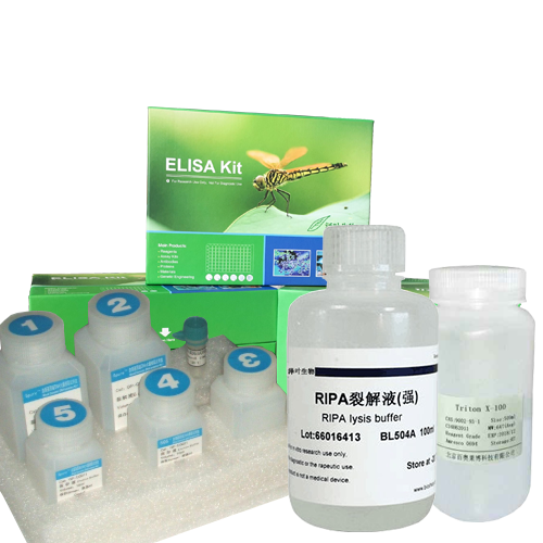 PCR产物回收试剂盒